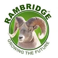 Rambridge — logo